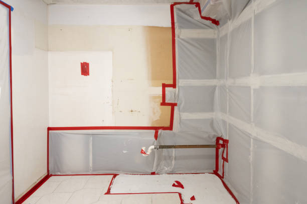 Mold Remediation for Rental Properties in Taft Southwest, TX