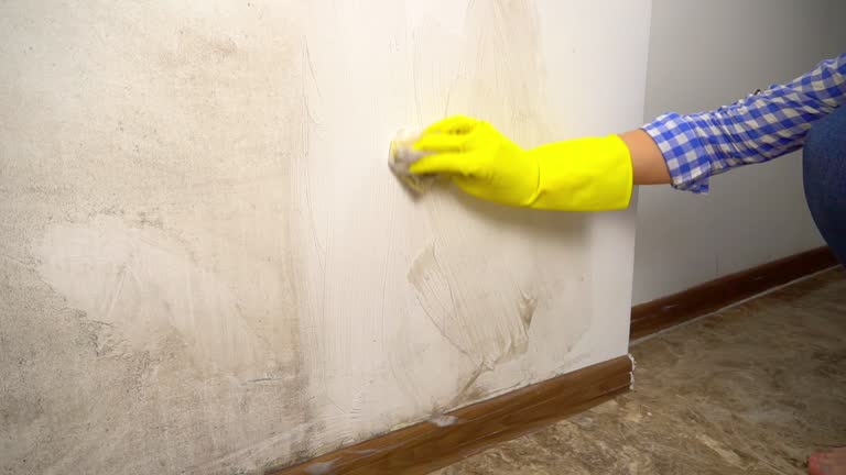 Best Emergency Mold Remediation  in Taft Southwest, TX