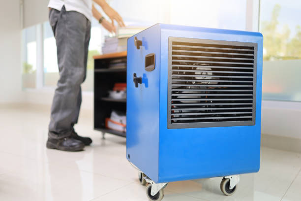 Best Black Mold Removal  in Taft Southwest, TX