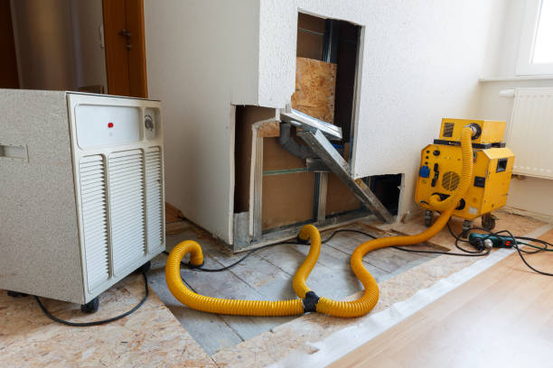 Professional Mold Removal in Taft Southwest, TX