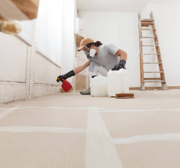 Best Mold Remediation for Rental Properties  in Taft Southwest, TX