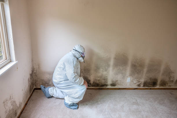 Best HVAC Mold Inspection and Cleaning  in Taft Southwest, TX
